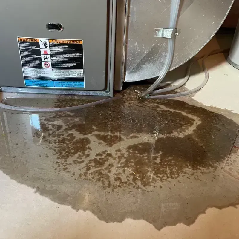 Appliance Leak Cleanup in Irving Park, IL